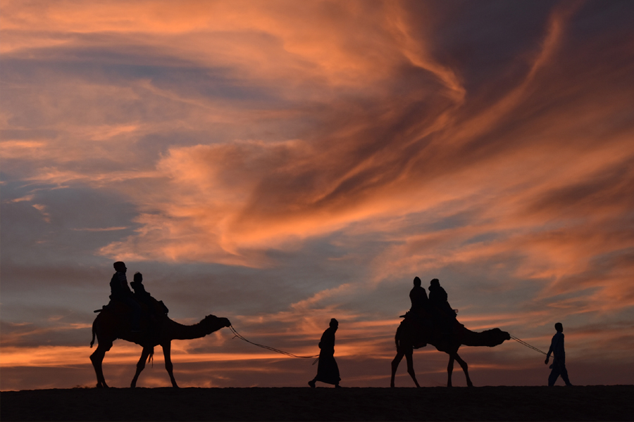 Camel Safari in Jaisalmer